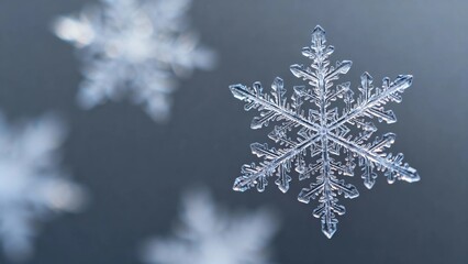 Close-up of a detailed snowflake with intricate crystalline structure against a dark background