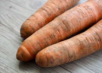Fresh organic carrots with green leaves and soil, healthy vegetable harvest concept