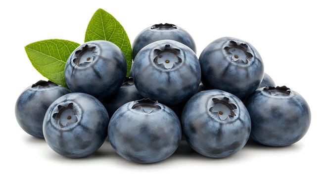 Pile of Fresh Blueberries: Ripe Berry Fruit Food Antioxidant Vitamin Nutrition