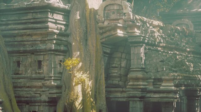 Exploring the majestic ruins of Cambodia where ancient stone structures intertwine with vibrant tree roots, showcasing natures power over history and time.