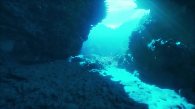 Sunlight filters through crystal clear waters, illuminating the intricate rock formations and diverse marine ecosystems. The serene underwater ambiance promises a captivating adventure.