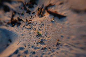 Sand texture with drop trails and zoom blur effect. Creative macro beach background.