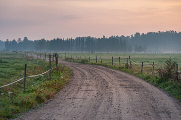 Rural gravel road between horse pastures on foggy sunrise morning countryside landscape © Regina