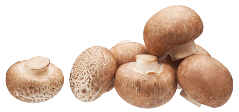 Group of brown button mushrooms isolated