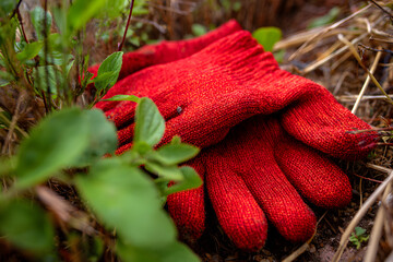 Bright red gardening gloves resting on soil or greenery, highlighting their texture and vibrant color for outdoor or gardening scenes.