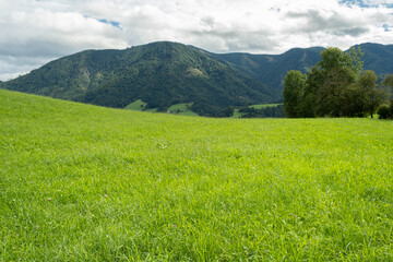 Alpine cloudy weather, green grass and mountains in the distance.