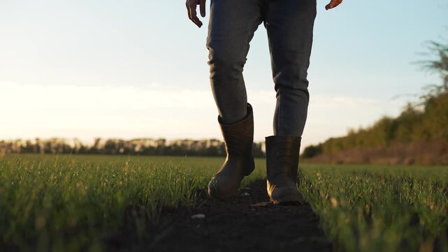 Walking through field at sunset person in boot and jeans strides along dirt row between green grass and young crop hand relaxed at side warm golden light on boot and grass walking boot repeat grass