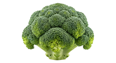 Fresh green broccoli floret against a ready for healthy eating