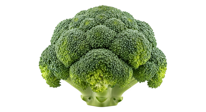 Fresh green broccoli floret against a ready for healthy eating