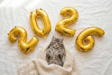 Cute kitten lying in blanket with golden 2026 balloons on bed, New Year, holiday, celebration, cozy home.