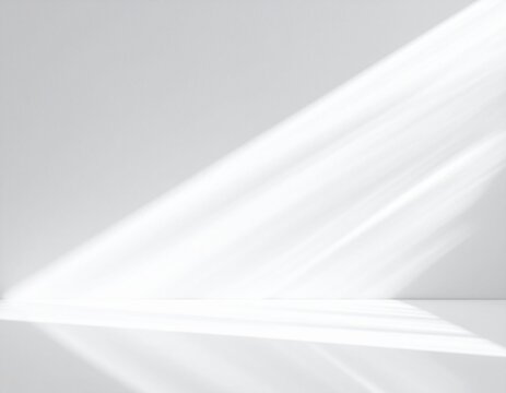 自然光と影の背景素材 白背景 ミニマル モダン 美容 ライフスタイル