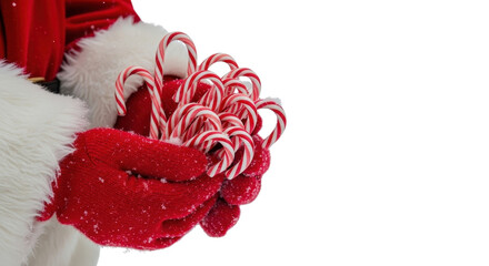 Close up of Santa Claus's red gloves holding a large bundle of striped Christmas candy canes. isolated PNG with Transparent Background