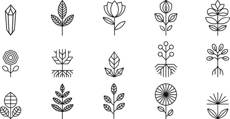 Black line art botanical and crystal icons