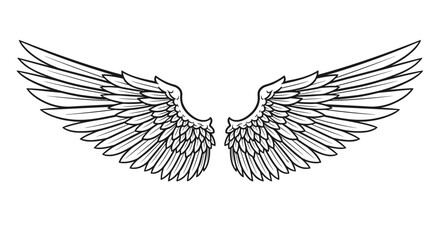 Obraz premium Detailed black and white illustration of a pair of open angel or bird wings with intricate feather details in a tattoo style.