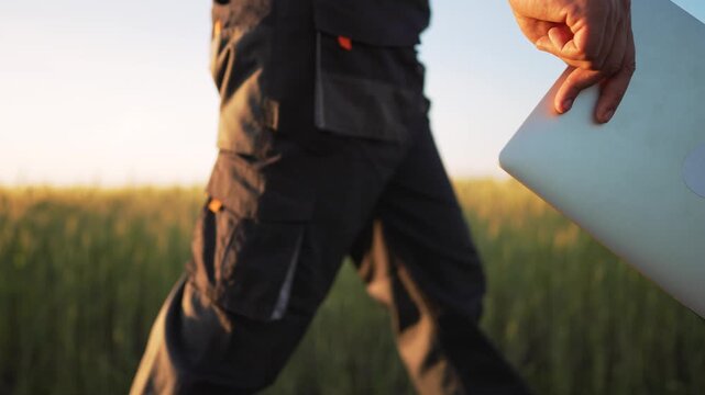 Walking with laptop through wheat field at golden hour shows farmer using technology for agriculture and agritech work inspecting crop and planning harvest with portable computer and rural life