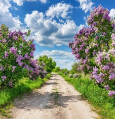 Dirt path lined with blooming purple bushes leads to horizon under blue sky