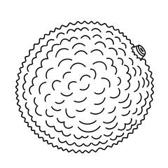Simple line art illustration of a lychee fruit