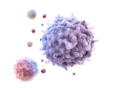 3D illustration of a Lymphocyte isolated on transparent background. White blood cell (T-cell or B-cell) of the human immune system defending the body against infection and viruses. Hematology concept
