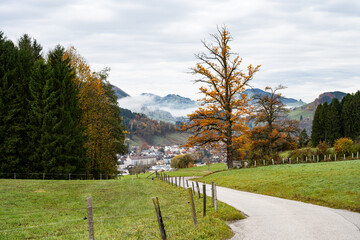 Fototapeta premium Autumn in the Mostviertel