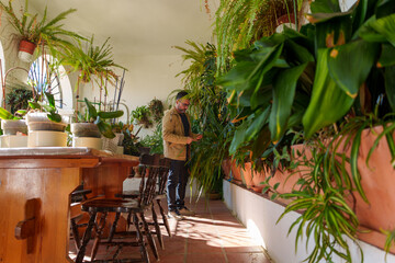 Man tending indoor plants, cultivating green living and home garden wellness in sunlit conservatory