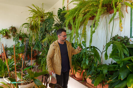 Man tending to his extensive collection of houseplants, creating a lush indoor garden, hobby and connection with nature