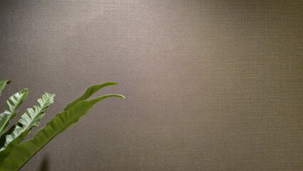 Vibrant green leaves on a wall background with a clear, luxurious brown texture. Ample copy space. Ideal for interior design and minimalist advertising materials.