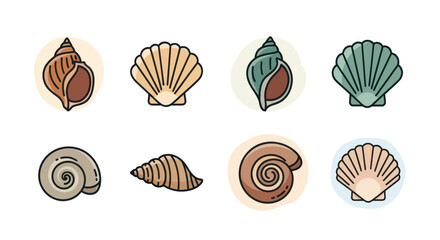 Collection of various seashell illustrations on white background