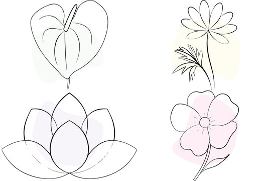 Minimalist Floral Lineart Drawings Featuring Botanic Nature Elements