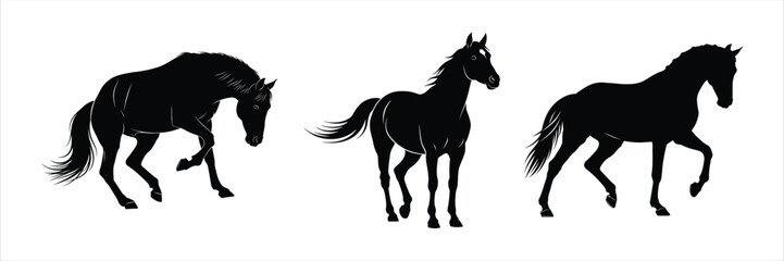 Silhouettes of horses, each in different poses, showing movement and grace