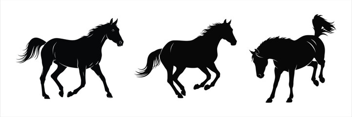Silhouettes of three horses in motion, depicting different gaits and poses