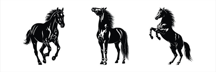 Set of three majestic black horse silhouettes in dynamic poses of running,standing,and rearing