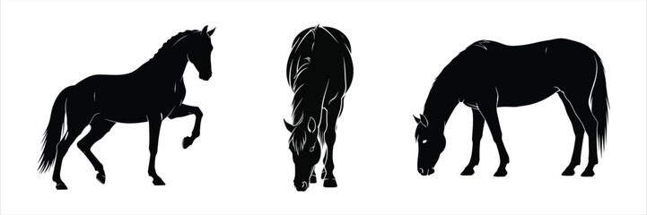 Collection of three elegant horse silhouettes in various dynamic poses, showcasing their majestic forms and grace