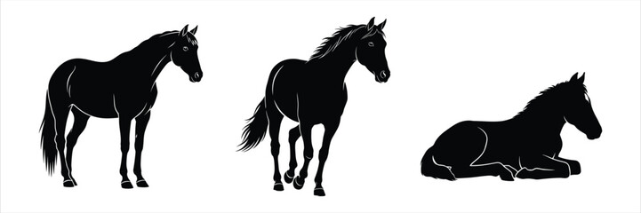 Set of three black horse silhouettes in different poses, including standing, trotting, and lying down