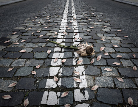 Wilted bloom lies forlornly on a stone paved road with lane markings. Evokes themes of loss, decay, and urban solitude. Ideal for emotive storytelling.