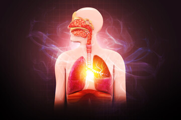 Chronic obstructive pulmonary disease, respiratory diseases, 3d illustration