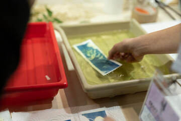 Cyanotype Print Washing Process