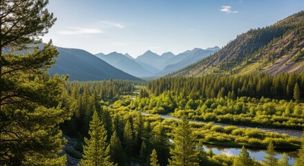Lush green valley with winding river surrounded by tall pine forests and distant mountain peaks under clear daylight.