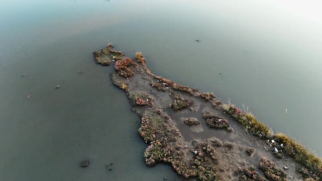 Symmetrical bird's-eye view drone shot of unique organic patterns formed by autumn-colored swamp vegetation floating on clear turquoise water in a sunny wetland environment.