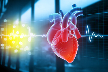 Human heart on ecg background. 3d illustration