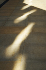 Pattern of light and shadow on tiled floor