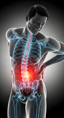 Experiencing Back Pain Anatomy Illustration of Aching Lower Spine