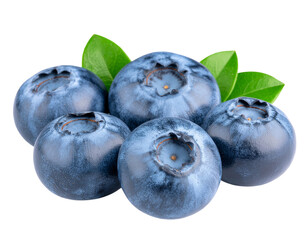 Obraz premium blueberries on a white background
