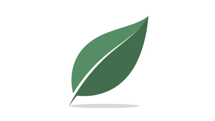 A green leaf with a lighter green center vein casts a shadow