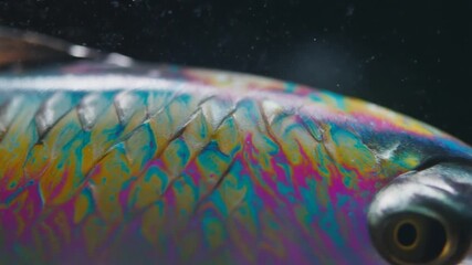 Side lit macro shot capturing the iridescent pattern of a mackerel’s scales - Powered by Adobe