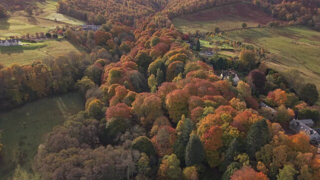 Aerial view of autumn trees ablaze with orange, red and yellow hues, near buildings nestled among green fields, creating a picturesque landscape, Aberfeldy, Scotland, United Kingdom.