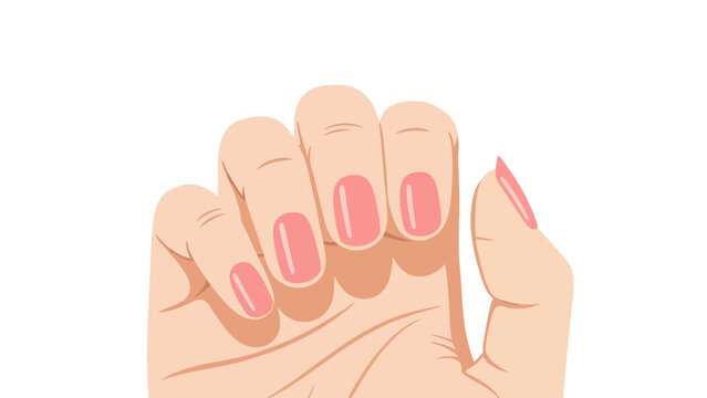A closeup flat illustration of a left hand with five pinkpainted fingernails