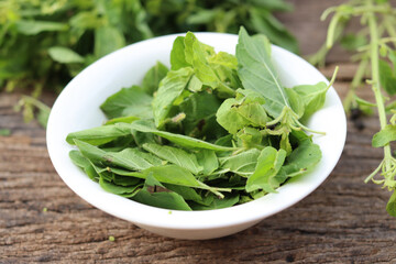 Fresh holy basil leaves on rustic wood