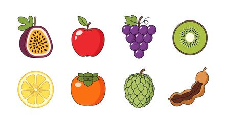 Assortment of colorful fruits vector illustrations for design and education