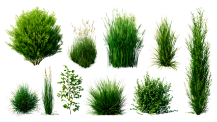 ia generated. Various clumps of green grass in different shapes and sizes, presented isolated on a white background for use in design and landscaping.
