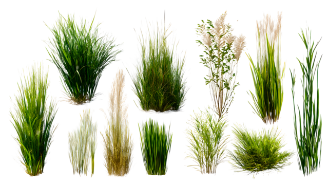 ia generated. Various clumps of green grass in different shapes and sizes, presented isolated on a white background for use in design and landscaping.